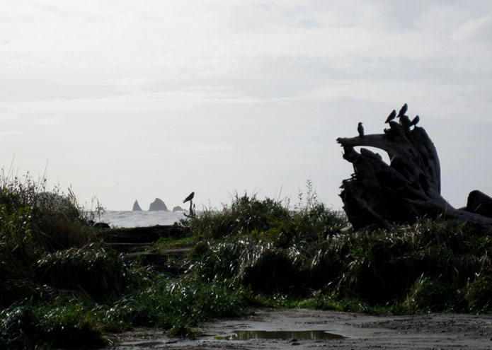 La Push - WA - USA - 2009