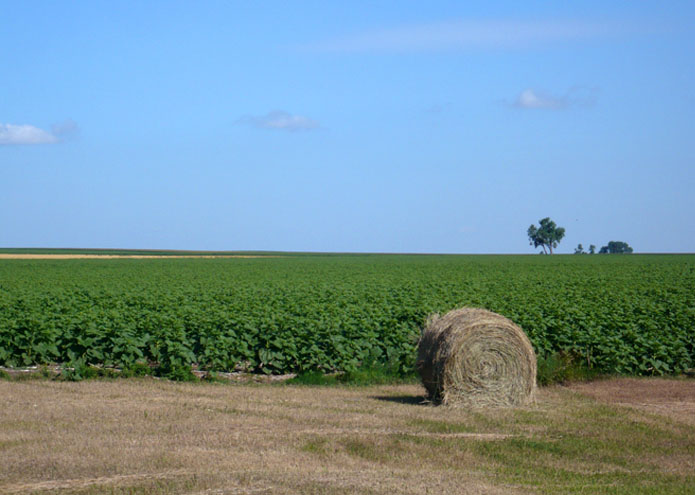 Sully County - SD - USA - 2009