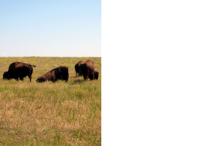 Pine Ridge Reservation - SD - USA - 2009