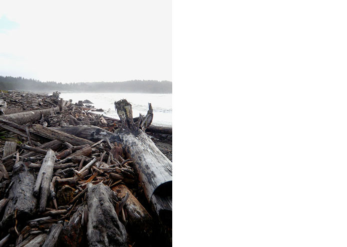 La Push - WA - USA - 2009