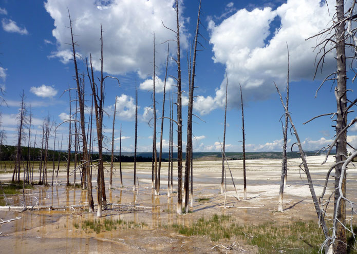 Yellowstone - WY - USA - 2011