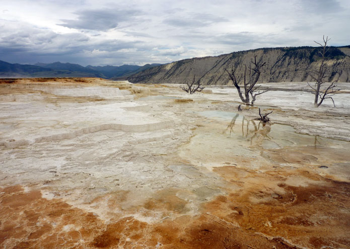 Yellowstone - WY - USA - 2011