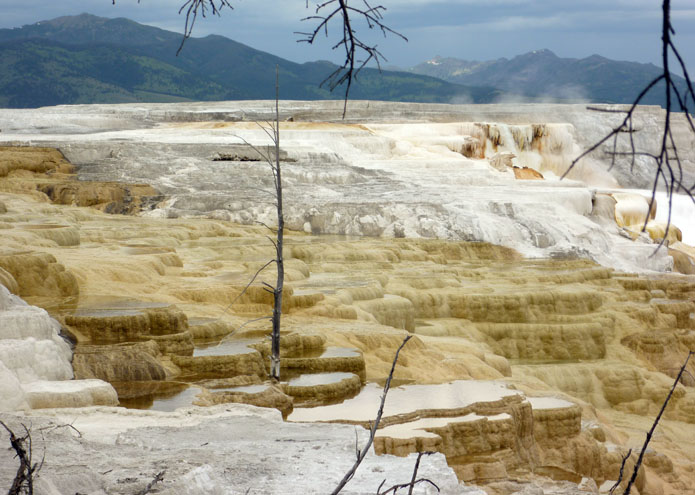 Yellowstone - WY - USA - 2011