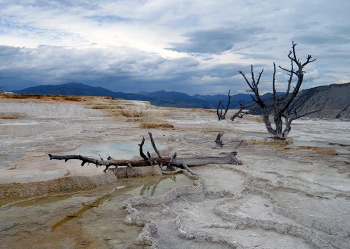 Yellowstone - WY - USA - 2011