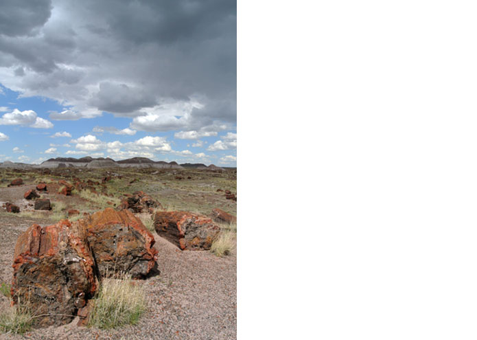 Petrified Forest - AZ - USA - 2013