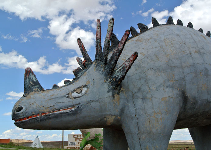 Petrified Forest - AZ - USA - 2013