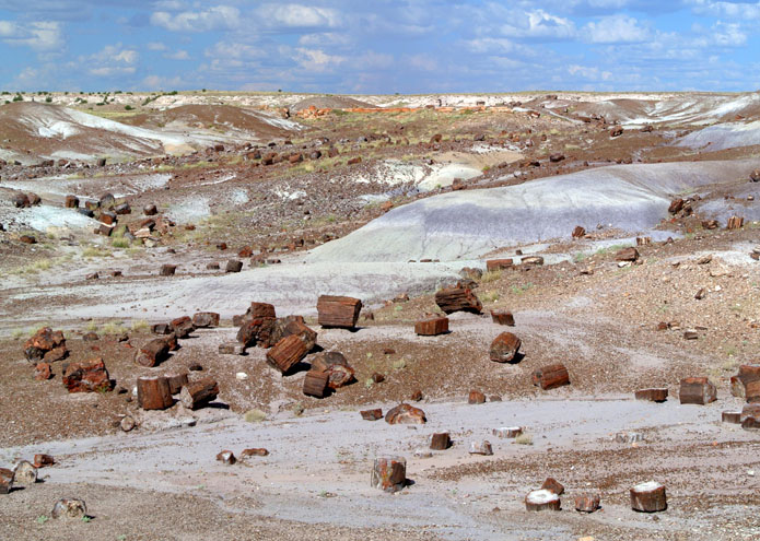 Petrified Forest - AZ - USA - 2013