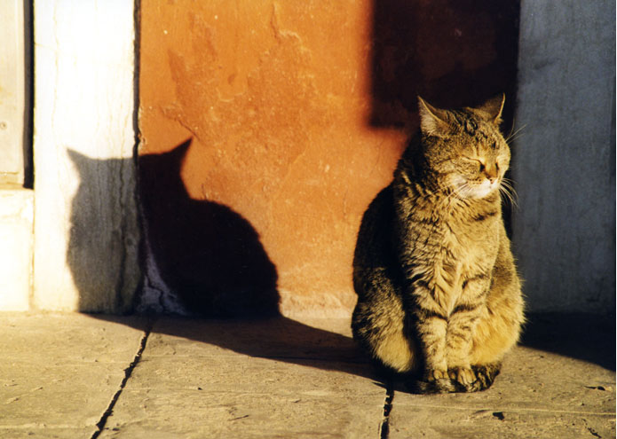 Murano - Italy - 2000