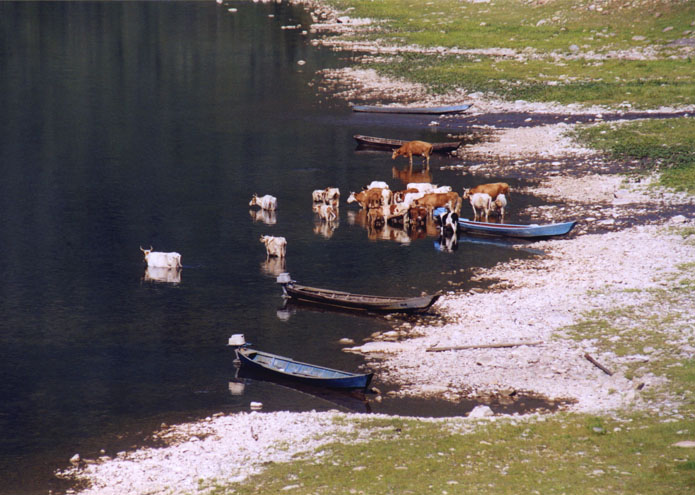 Oest Anzass - Russia - 2004