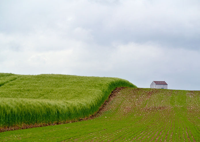 Linzeux - France - 2012