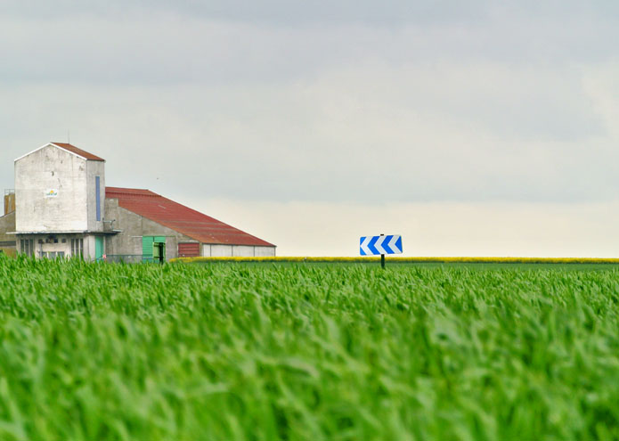 Linzeux - France - 2012
