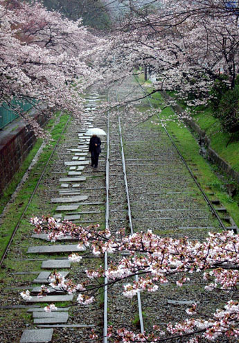 Kyoto - Japan - 2006